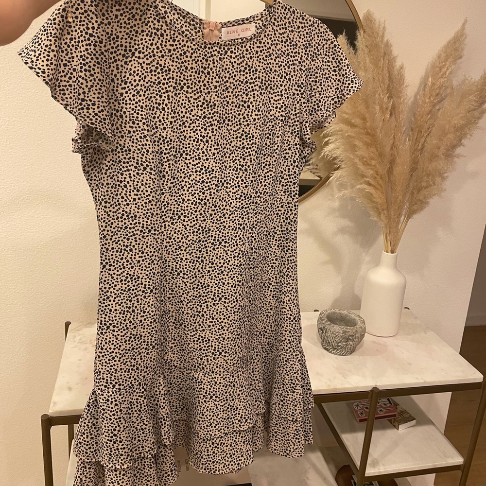 Hello Molly Ruffle Dress
